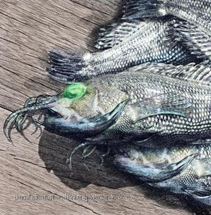 Art by Steve Santiago: http://www.illustrator-steve.com