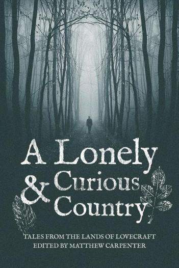 A Lonely and Curious Country