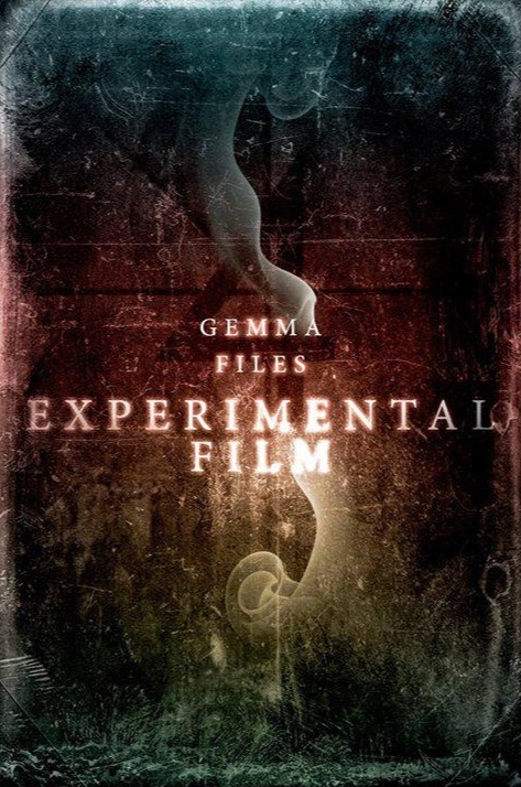 Lois’s headlong quest to discover the truth about the disappearance of Mrs. Whitcomb almost immediately begins to send her much further than she ever wanted to go, revealing increasingly troubling links between her subject’s life and her own. Slowly but surely, the malign influence of Mrs Whitcomb’s muse creeps into every aspect of Lois’s life, placing her son in danger.