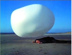 4. Rover on the Beach in Georges Journal